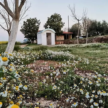 Ktima Paradise * Tarsina