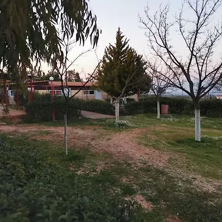 Ktima Paradise Tarsina